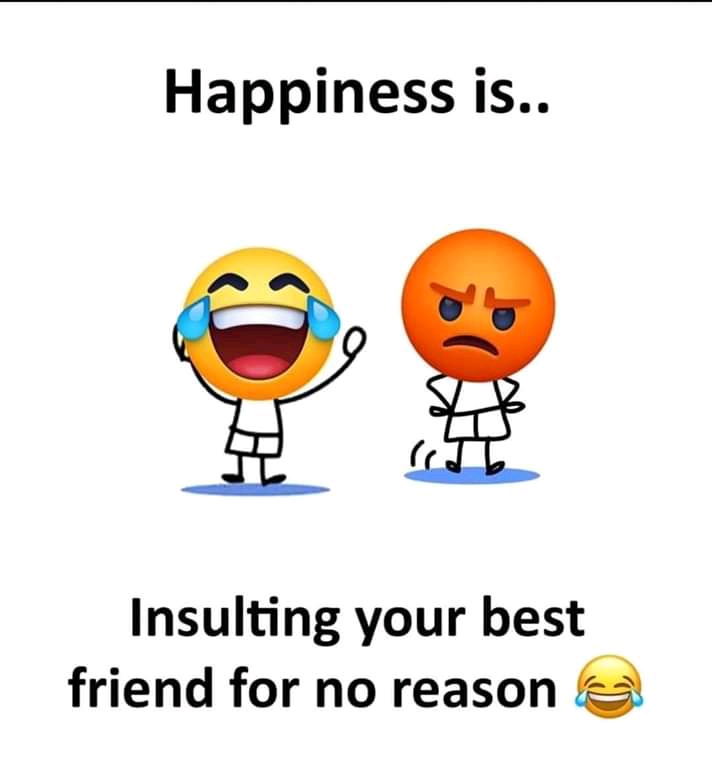 Insulting best friend funny status